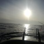 39923935_285577362243418_3345244323414278144_n-800x600