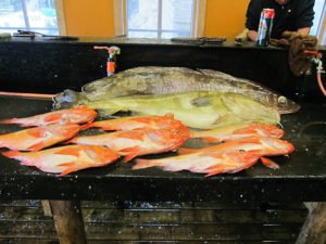 IMG_0706