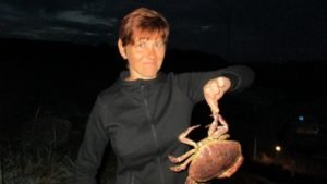 IMG_1186-800x450