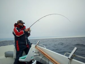 IMG_20180827_112118
