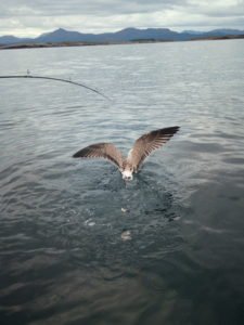 IMG_20180828_091123