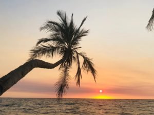 IMG-20181025-WA0023