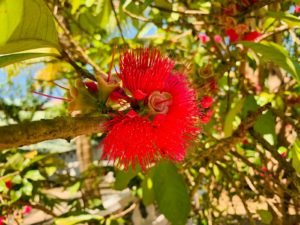 IMG-20181026-WA0004-1