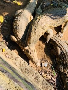 IMG-20181026-WA0008
