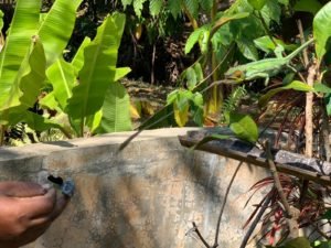 IMG-20181026-WA0019