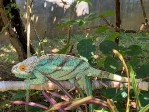 IMG-20181026-WA0021