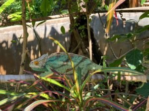 IMG-20181026-WA0022