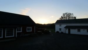 IMG_1577-800x450