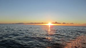 IMG_1606-800x450