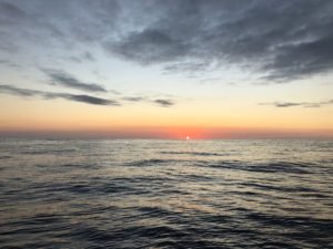 IMG_7100