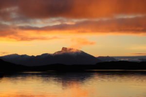 IMG_9810