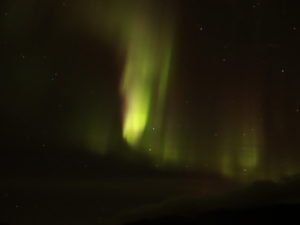 IMG_9886