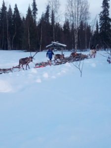 IMG_20170207_111453
