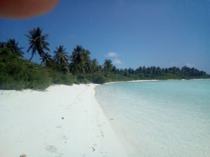 IMG_20190222_121135