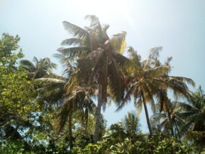IMG_20190222_121817