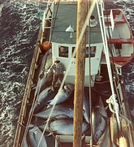 2bbb_witness_photo_norway_387833