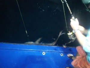 IMG_20190302_223808-1