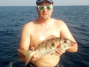 IMG_20190305_162841