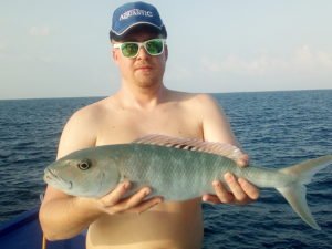 IMG_20190305_165854