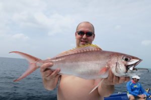 IMG_2049-1