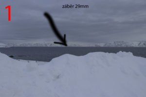 IMG_9556