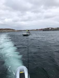 IMG-20190407-WA0010