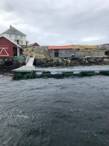 IMG-20190407-WA0021