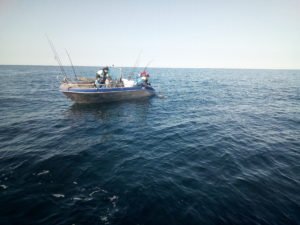 IMG_20190403_121053