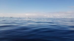 IMG_20190409_132020
