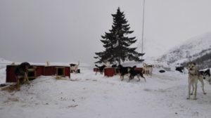 IMG_20190409_175230