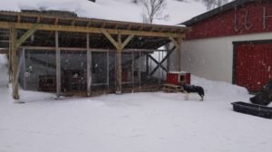 IMG_20190409_175925