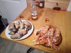 IMG_20190417_211347