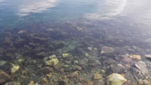 IMG_20190420_151429