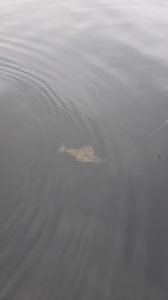 IMG_20190424_130447