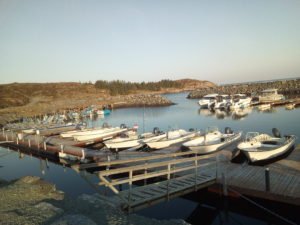 IMG_20190428_065829