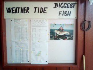 IMG_20190428_070233