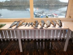 IMG_20190430_175749