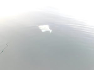 DSCN0150