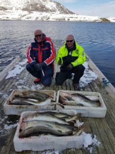 IMG-20190505-WA0003