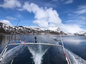 IMG-20190505-WA0006