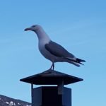 img-20190506-wa0027