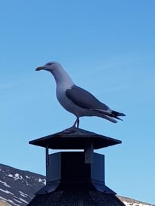 IMG-20190506-WA0027