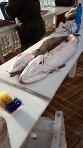 IMG-20190526-WA0015