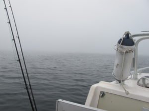 IMG_0644