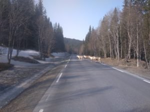 IMG_20190426_095948