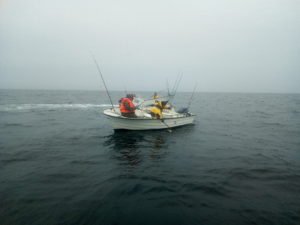 IMG_20190430_112043