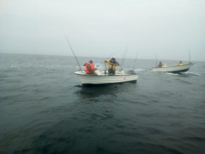 IMG_20190430_112048