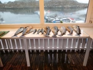 IMG_20190430_175746