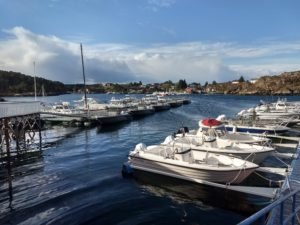 IMG_20190503_083950502_HDR