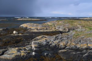 IMG_4278